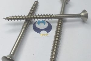 CBS Oval HD - Screw Sample
