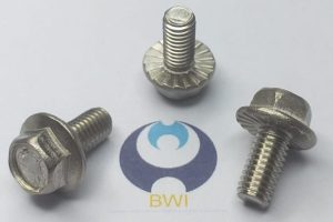 DIN 6921 - Screw Sample