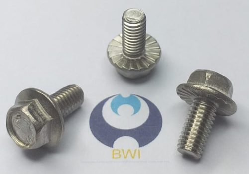 DIN 6921 - Screw Sample