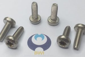 DIN 7500 C-CE - Screw Sample