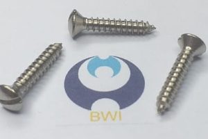 DIN 7973 - Screw Sample