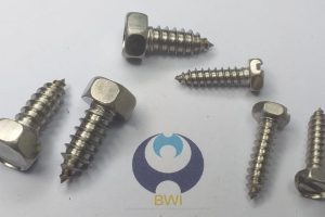 DIN 7976 - Screw Sample