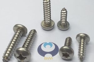 DIN 7981 - ISO 7049 - Screw Sample