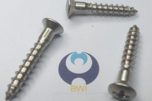 DIN 7995 - Screw Sample