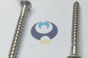 DIN 95 - Screw Sample