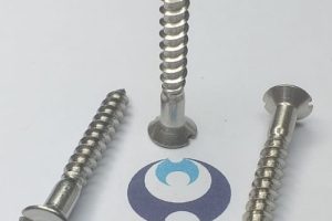 DIN 97 - Screw Sample