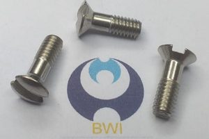 DIn 964 - Screw Sample