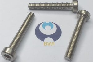 ISO 14580 - Screw Sample