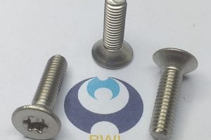 ISO 14581 - Screw Sample