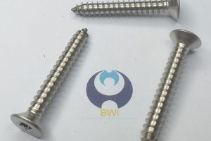 ISO 14586 - Screw Sample