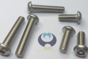 ISO 7380-1 - Screw Sample