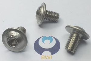 ISO 7380-2 - Screw Sample